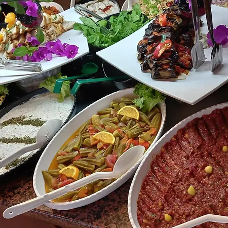 Viking Express Hotel Ξενοδοχείο με διαμερίσματα 4*