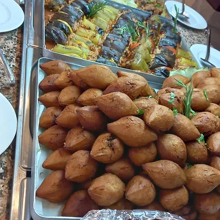 Viking Express Appart hôtel 4*