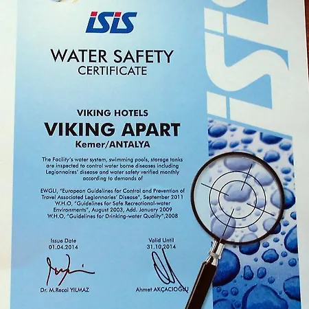 Viking Express