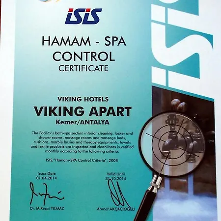Viking Express Hotel 3* Kemer